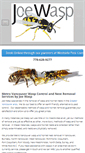 Mobile Screenshot of joewasp.com