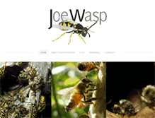 Tablet Screenshot of joewasp.com